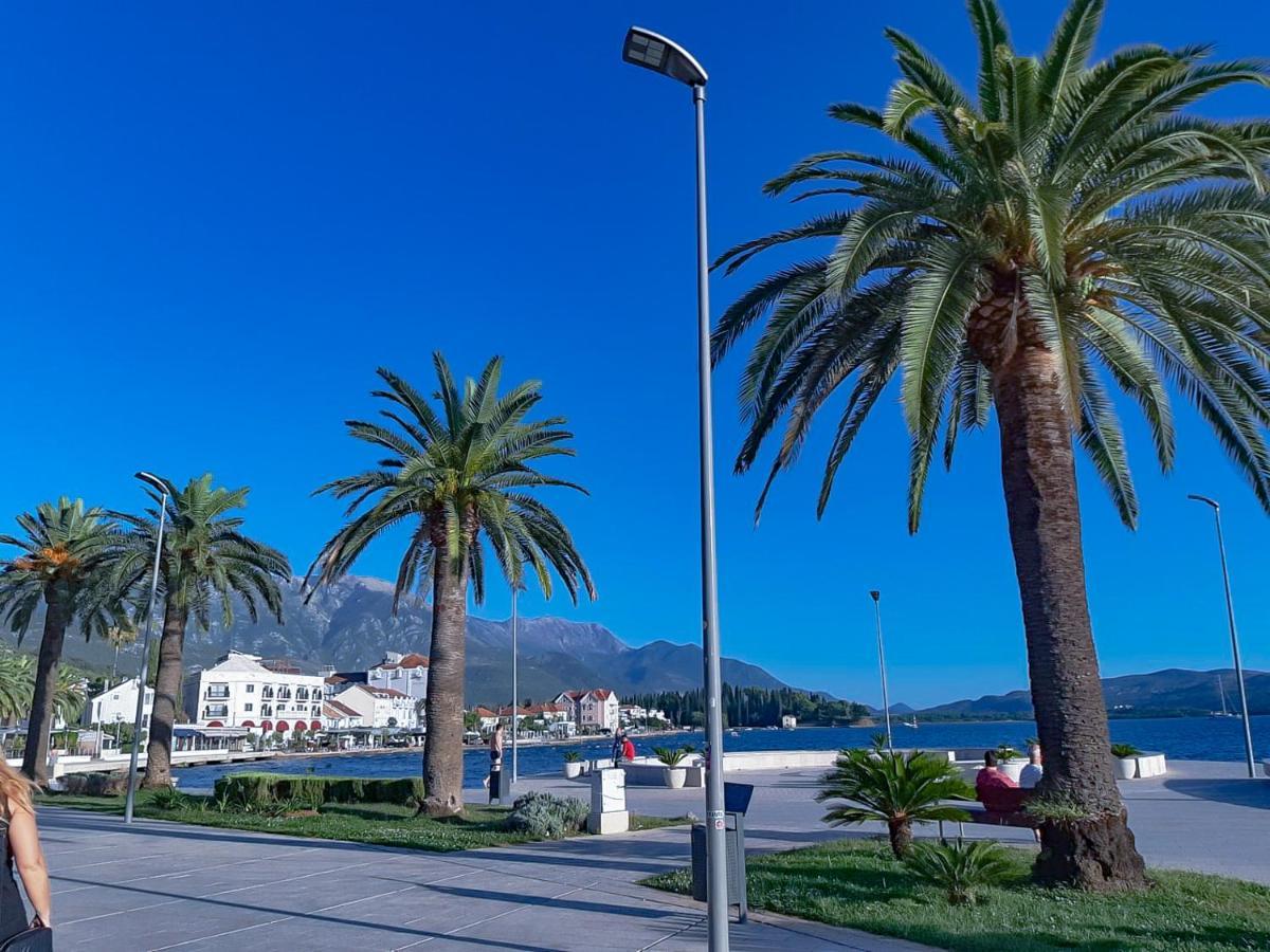 Adriabay Studio Tivat Eksteriør bilde